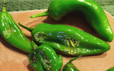 Cooling Roasted Chile