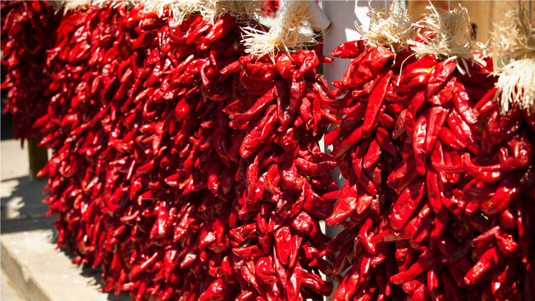 Drying Fresh Chile