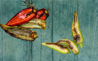 Peeling Fresh Chile