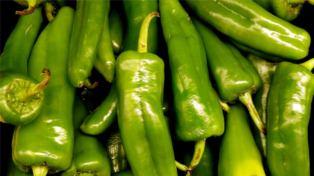 Selecting Fresh Chile
