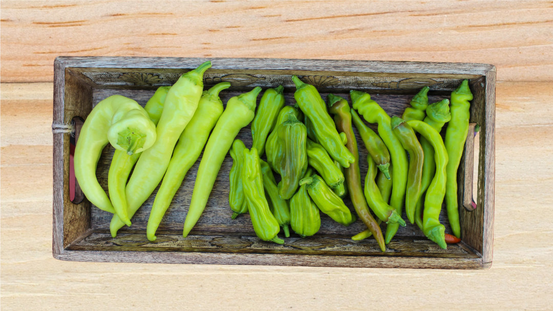 Storing Fresh Chile