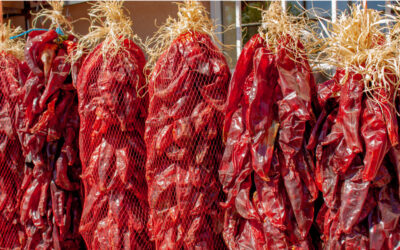 Using Dried Chile